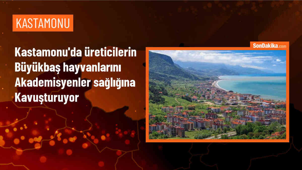 Kastamonu Üniversitesi Veteriner Fakültesi Hayvan Hastanesi\'nde büyükbaş hayvanlar ameliyat ediliyor