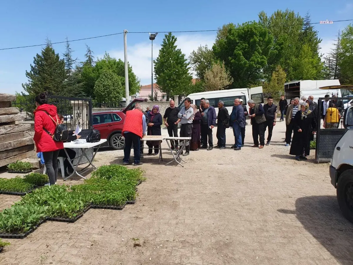 Kırşehir Belediyesi Geri Dönüşüm Malzemeleri Karşılığında Fide Dağıtacak