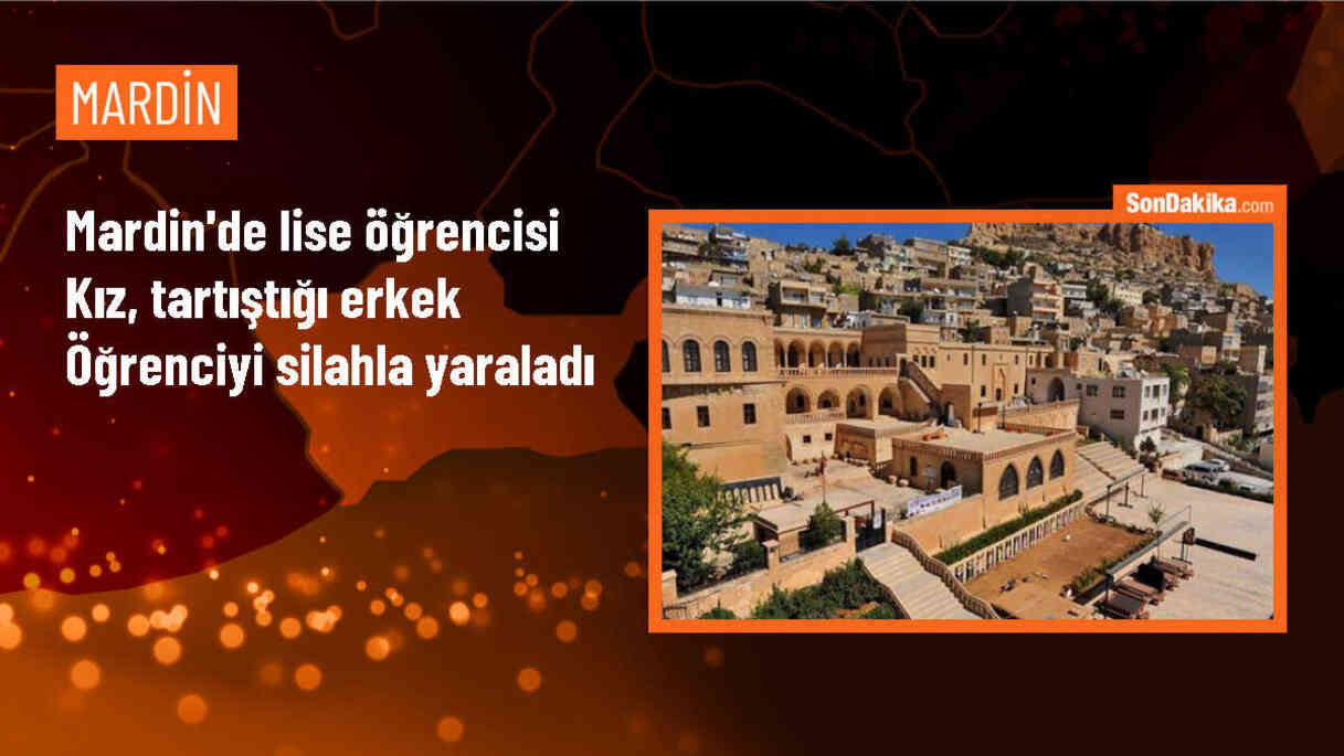 Mardin\'de lise öğrencisi kız, erkek öğrenciyi silahla yaraladı