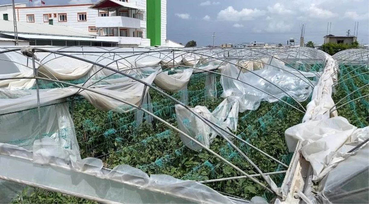 Mersin\'de şiddetli fırtına ve rüzgar ekili alanlara da zarar verdi
