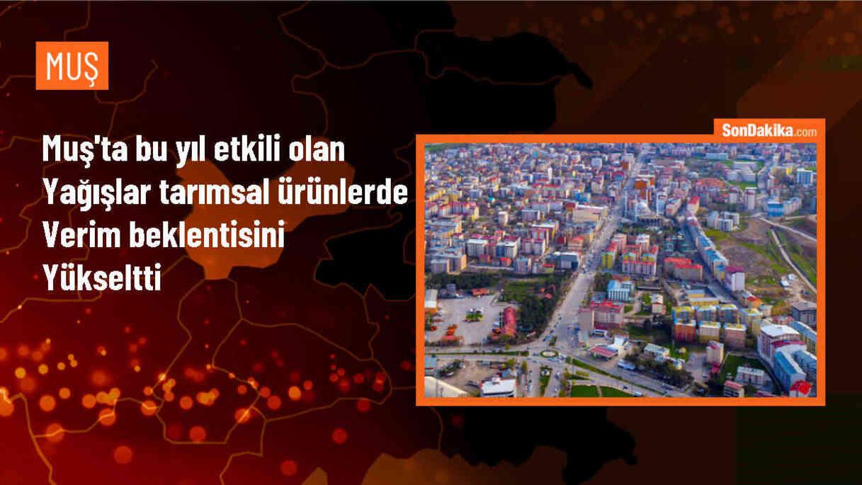 Muş\'ta Yağışlar Tarımsal Verimi Artırıyor