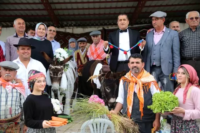 Antalya'da Eşeklere Sembolik Düğün Yapıldı