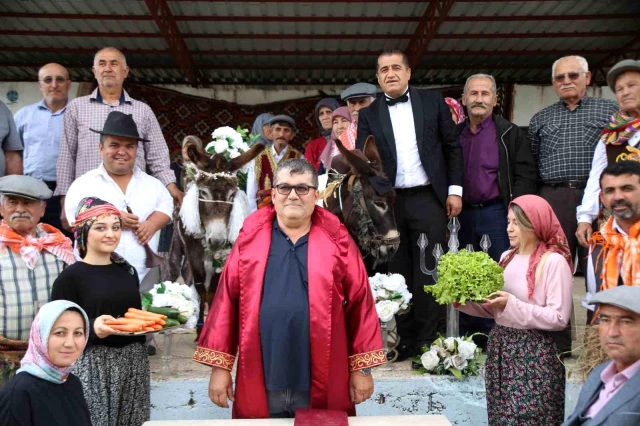Antalya'da Eşeklere Sembolik Düğün Yapıldı