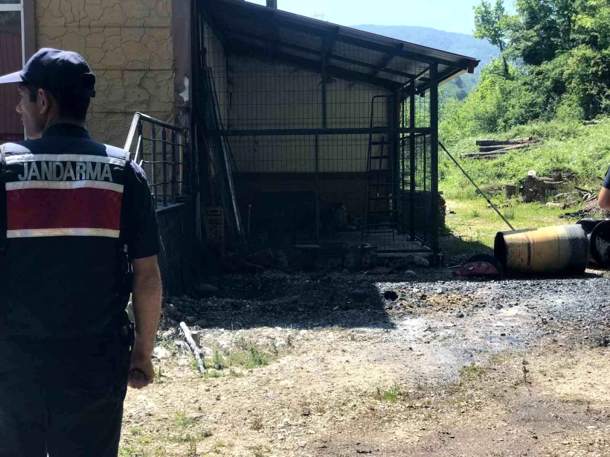 Akyazı\'da Orman İşletme Müdürlüğü\'ne ait depoda patlama: 3 yaralı