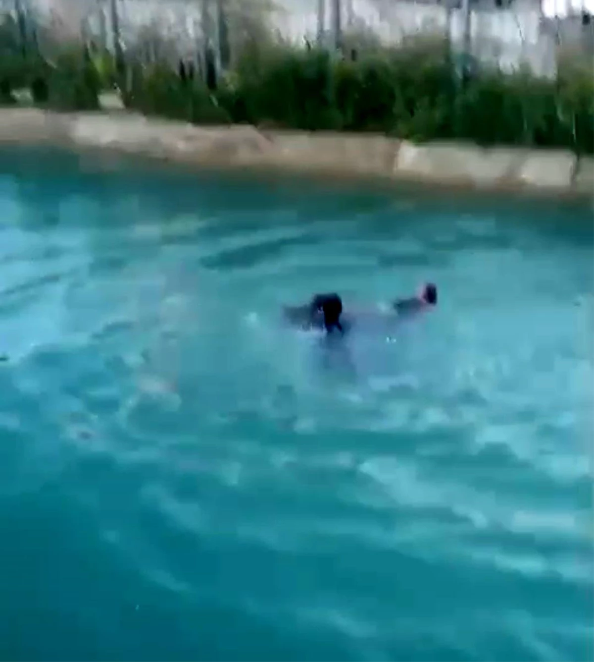 Adana\'da Sulama Kanalına Düşen Kadın Vatandaşlar Tarafından Kurtarıldı
