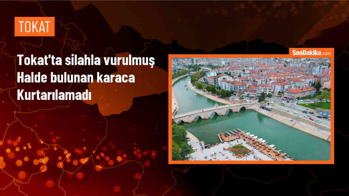 Erbaa\'da Yaralı Bulunan Karaca Kurtarılamadı