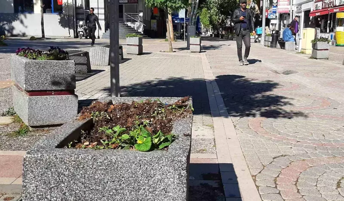 Yalova\'da Ekilen Çiçekler Vandallar Tarafından Sökülerek Yollara Atıldı