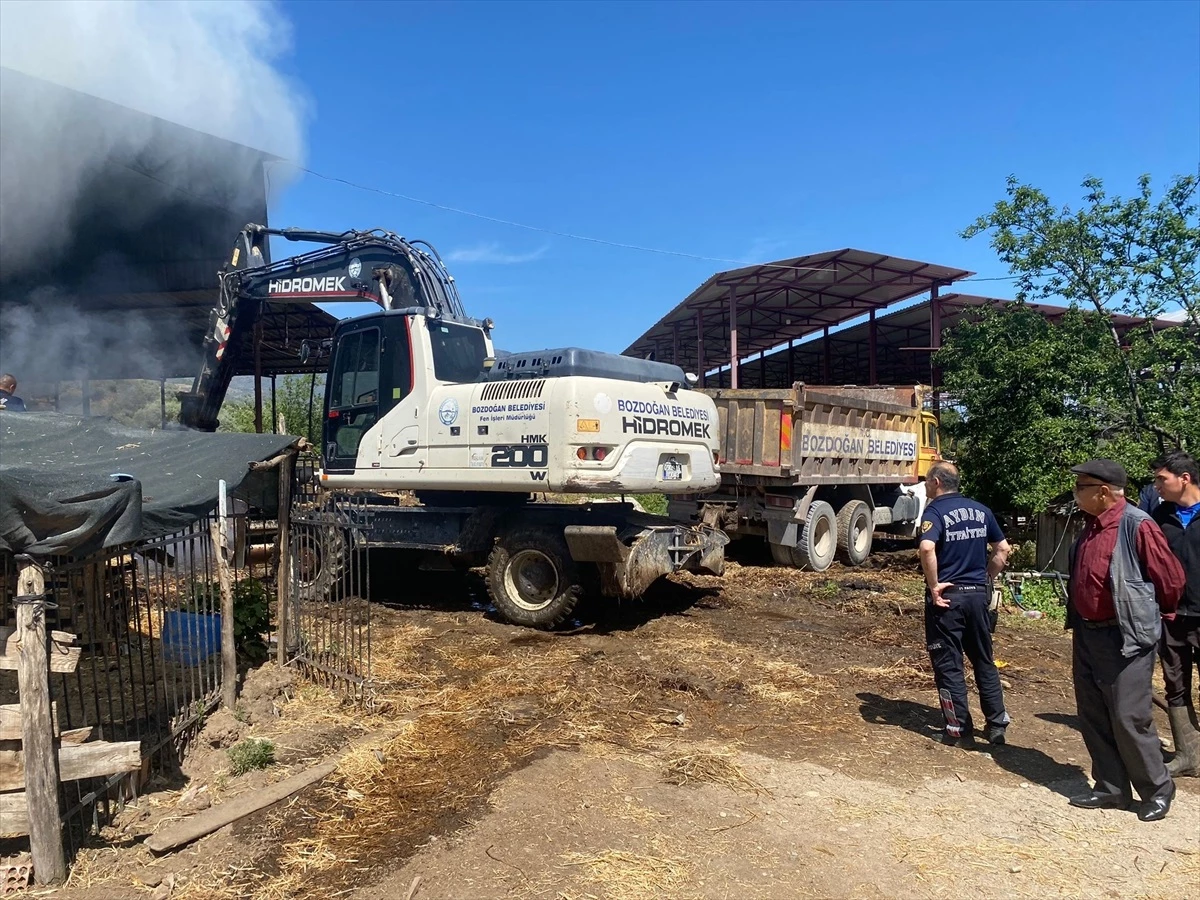 Aydın\'ın Bozdoğan ilçesinde çiftlik yangını: 70 ton saman ve 150 çuval yem yandı