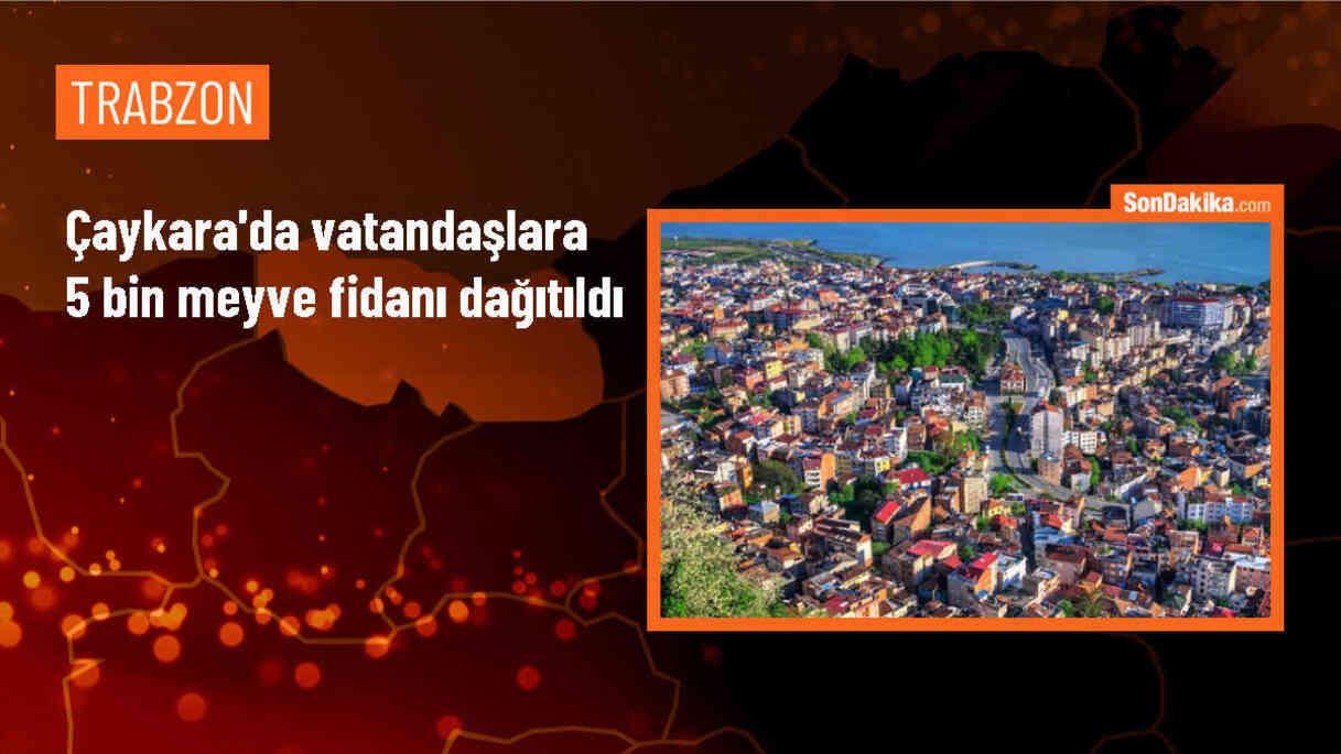 Çaykara ilçesinde vatandaşlara meyve fidanı dağıtıldı