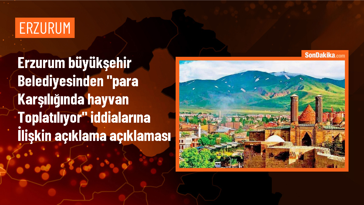 Erzurum Büyükşehir Belediyesi: \'Para karşılığında hayvan toplatılıyor\' iddiaları gerçeği yansıtmıyor