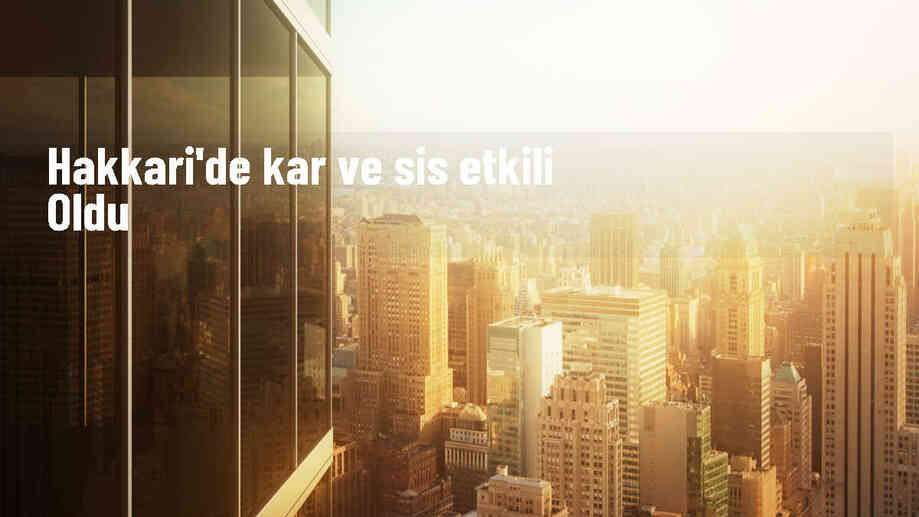 Hakkari\'de yüksek kesimlerde sis ve kar etkili oldu