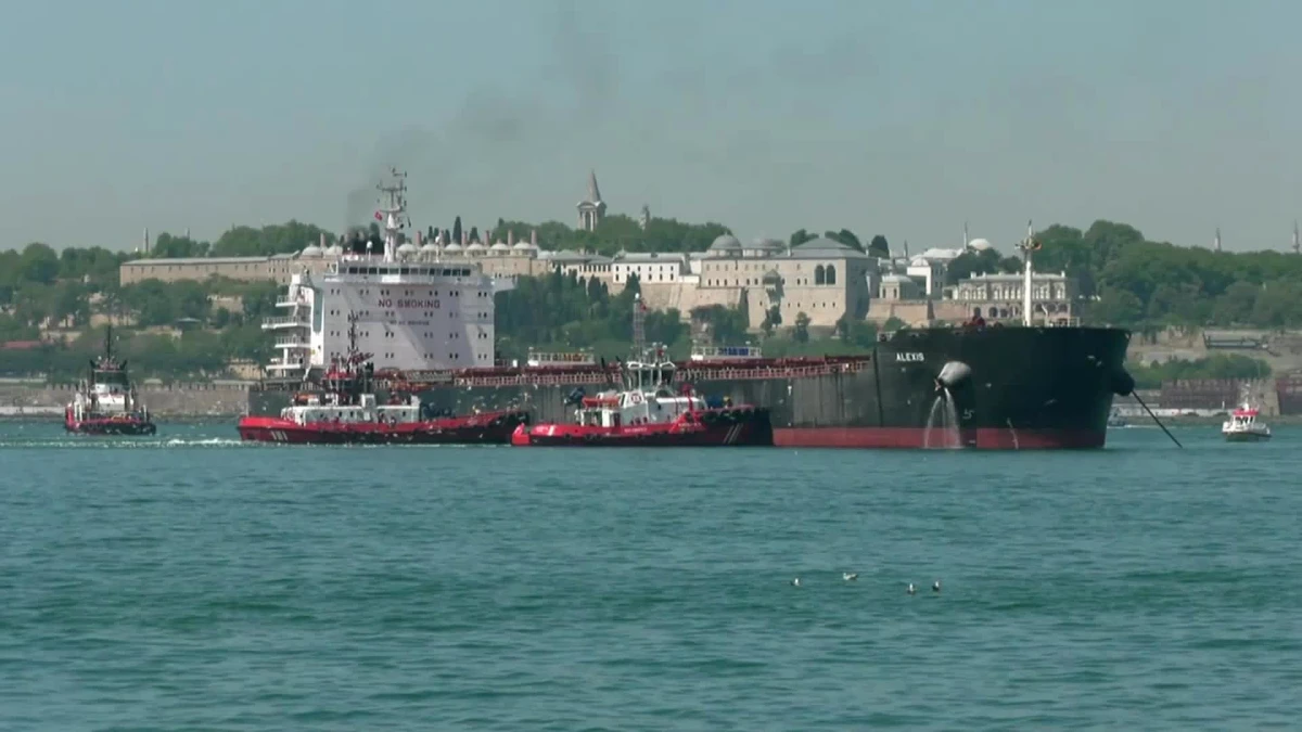 Ukrayna\'dan Mısır\'a seyir halindeki gemi Haydarpaşa Mendireği açıklarında demir attı