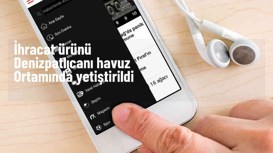 Denizpatlıcanı Doğal Ortamının Dışında Büyütüldü