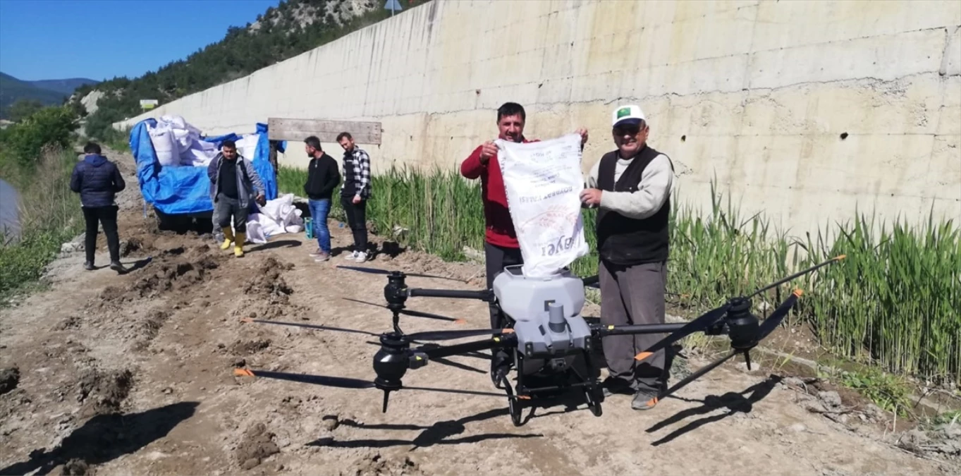 Kastamonu\'nun Hanönü ilçesinde dron ile çeltik ekimi yapıldı