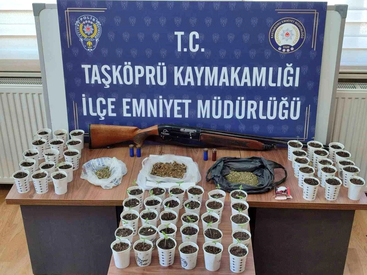 Kastamonu\'da uyuşturucu operasyonu: Şahıs gözaltına alındı