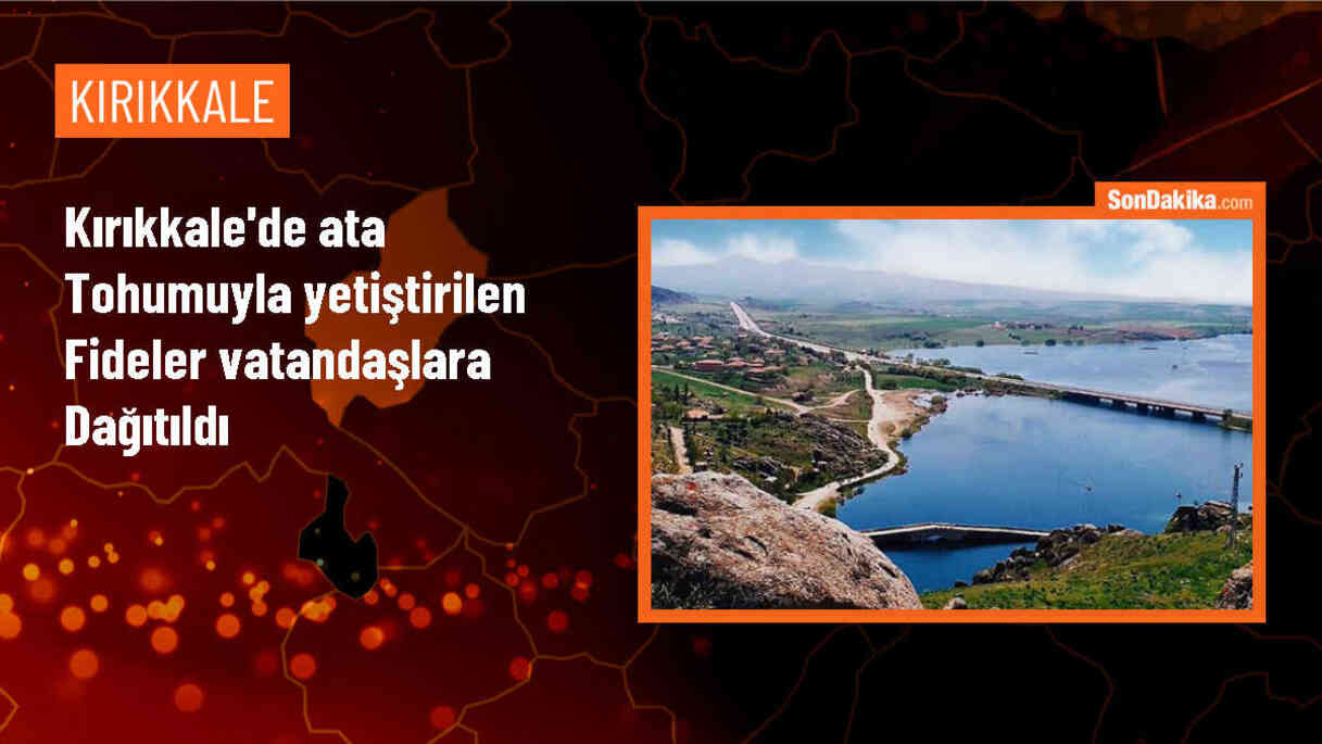 Kırıkkale Belediyesi, Ata Tohumuyla Yetiştirilen Sebze Fidelerini Ücretsiz Dağıttı
