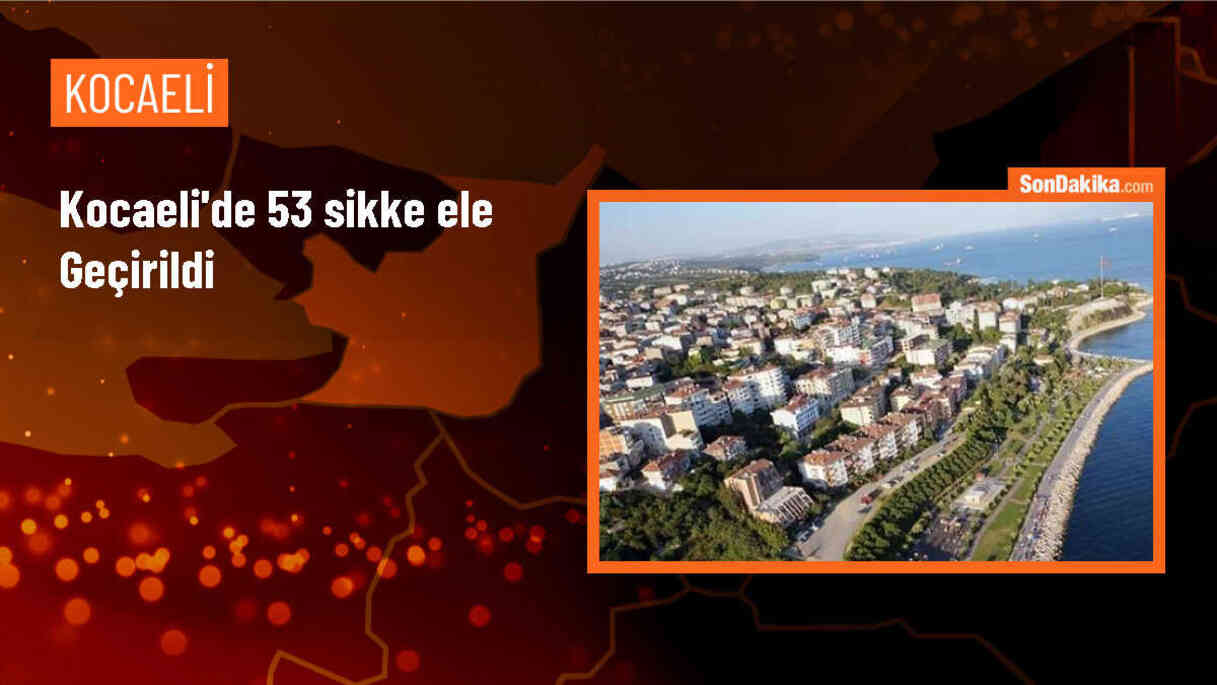 Gebze\'de Tarihi Eser Kaçakçılığı Operasyonu: 53 Sikke Ele Geçirildi