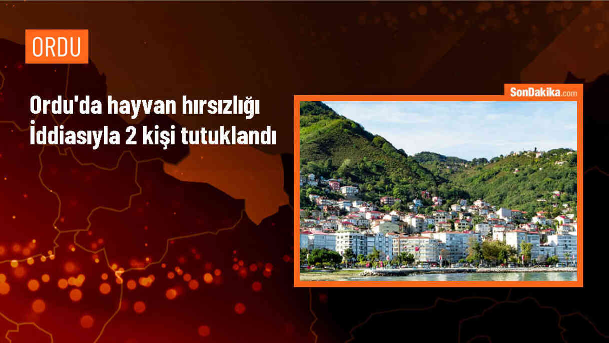 Ordu\'da, çaldıkları 3 büyükbaş hayvanı satan 2 zanlı tutuklandı