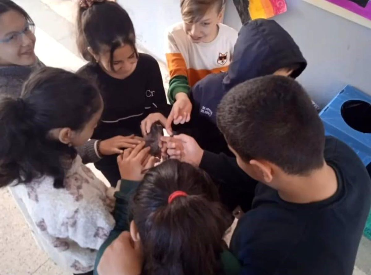 Gazipaşa Burhan Ortaokulu Özel Eğitim Öğrencileri Kedi Evleri Yaptı