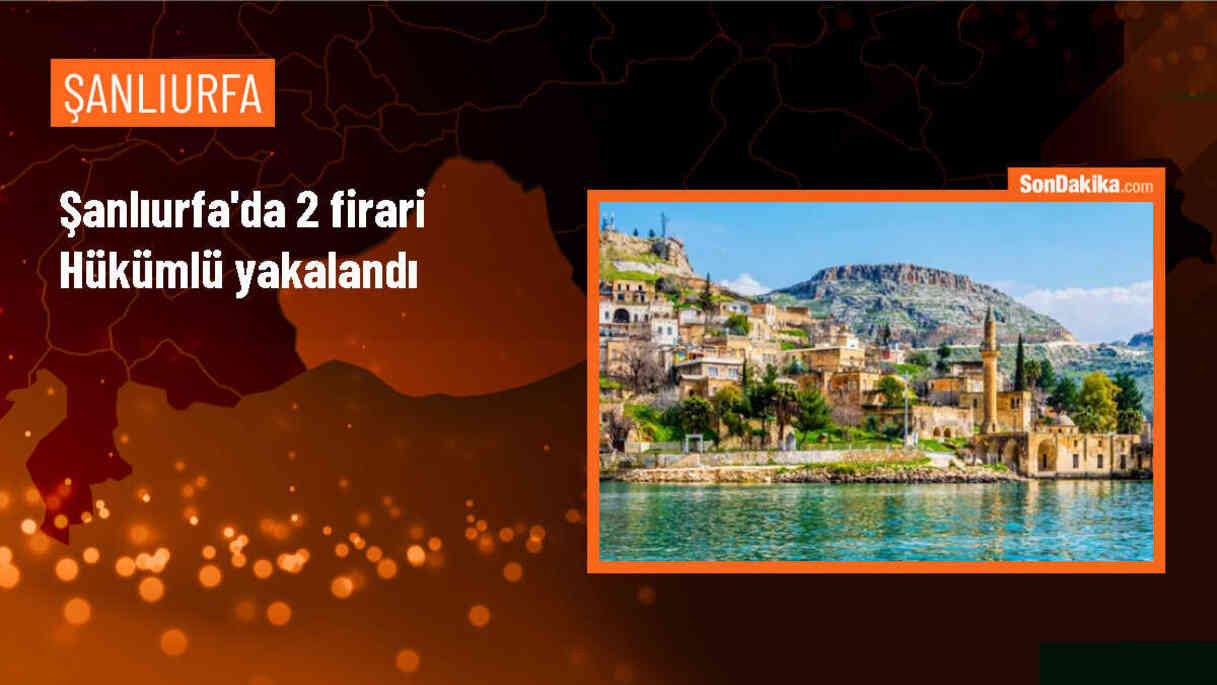 Şanlıurfa\'da Firari Hükümlüler Yakalandı