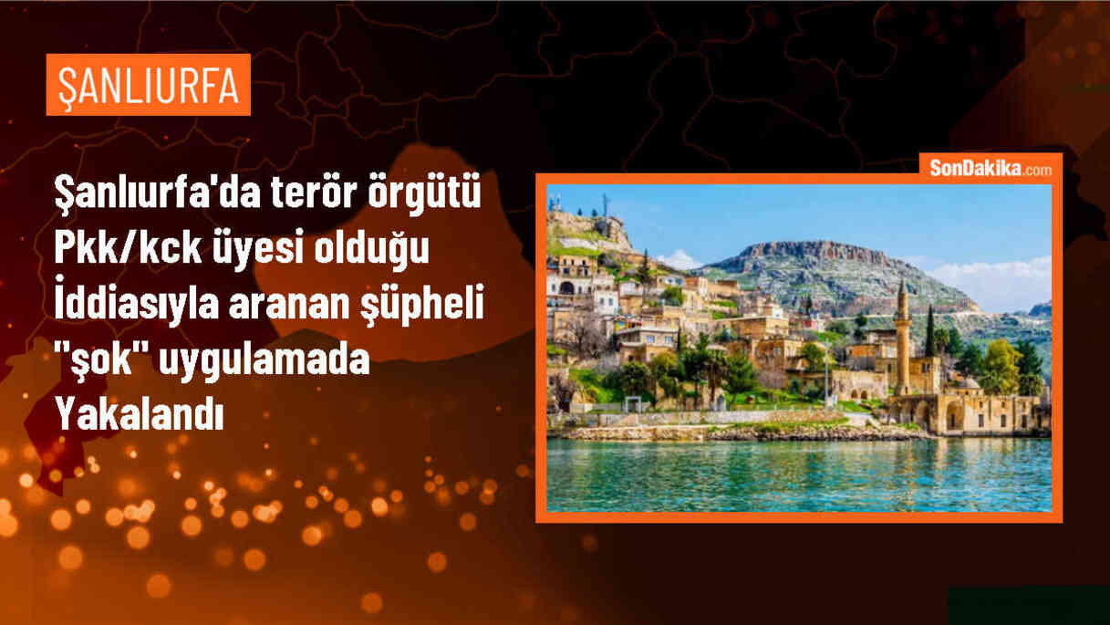 Şanlıurfa\'da yapılan denetimlerde 14 zanlı yakalandı