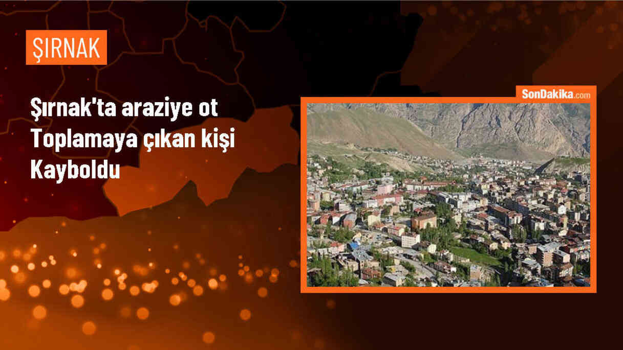 Şırnak\'ta ot toplarken kaybolan kişi için arama çalışması başlatıldı