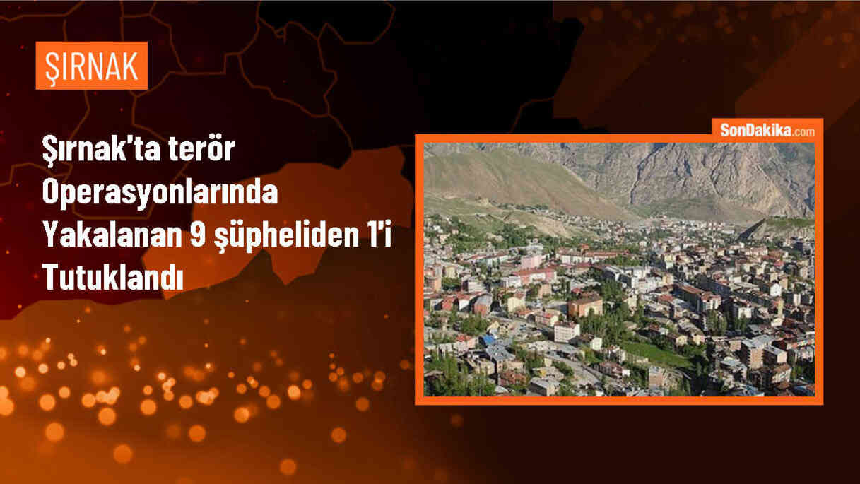 Şırnak\'ta FETÖ ve PKK/KCK operasyonunda 1 şüpheli tutuklandı