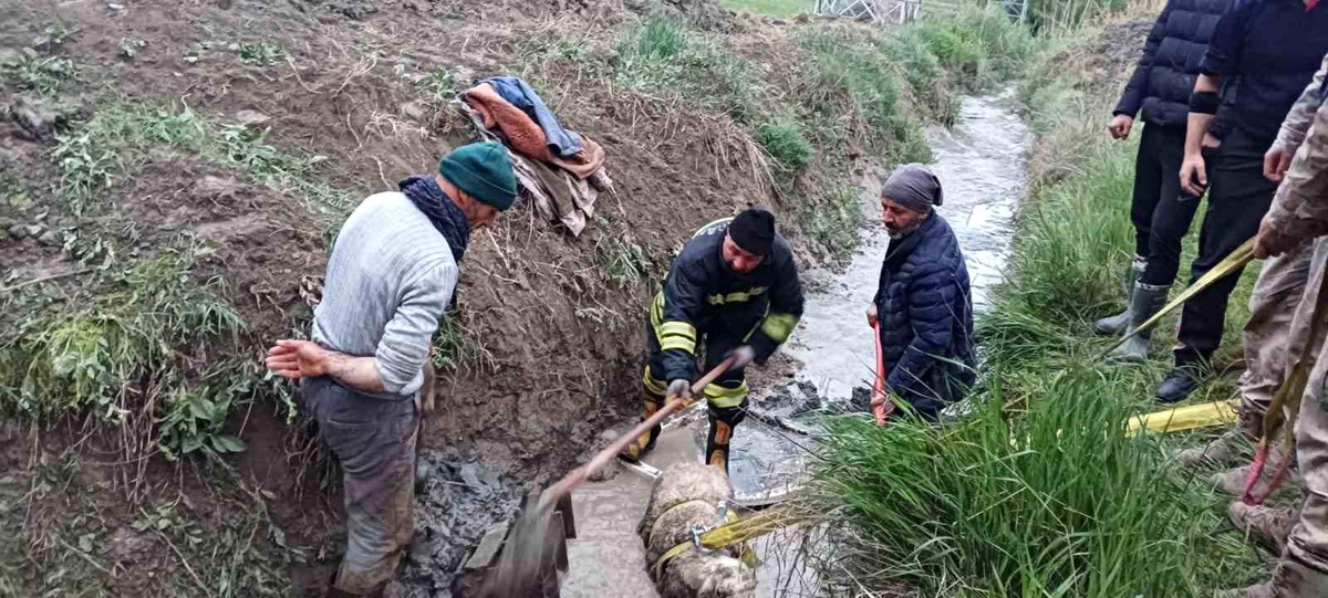 Erzincan\'da İtfaiye Ekipleri Koyunu Kurtardı