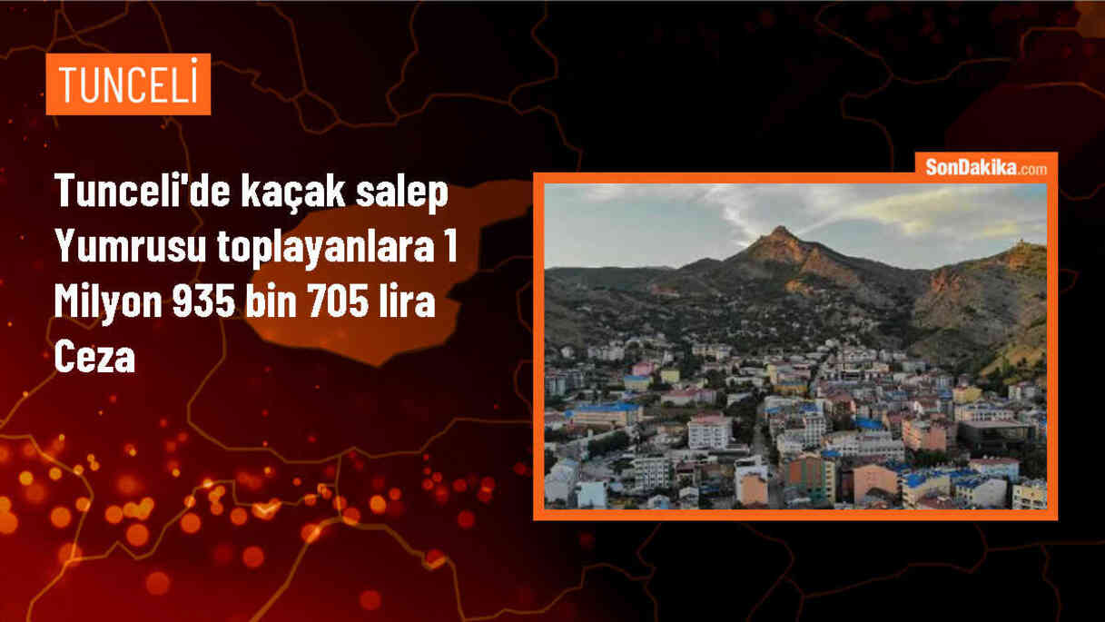 Tunceli\'de Kaçak Salep Yumrusu Toplayanlara Yüksek Cezalar Verildi