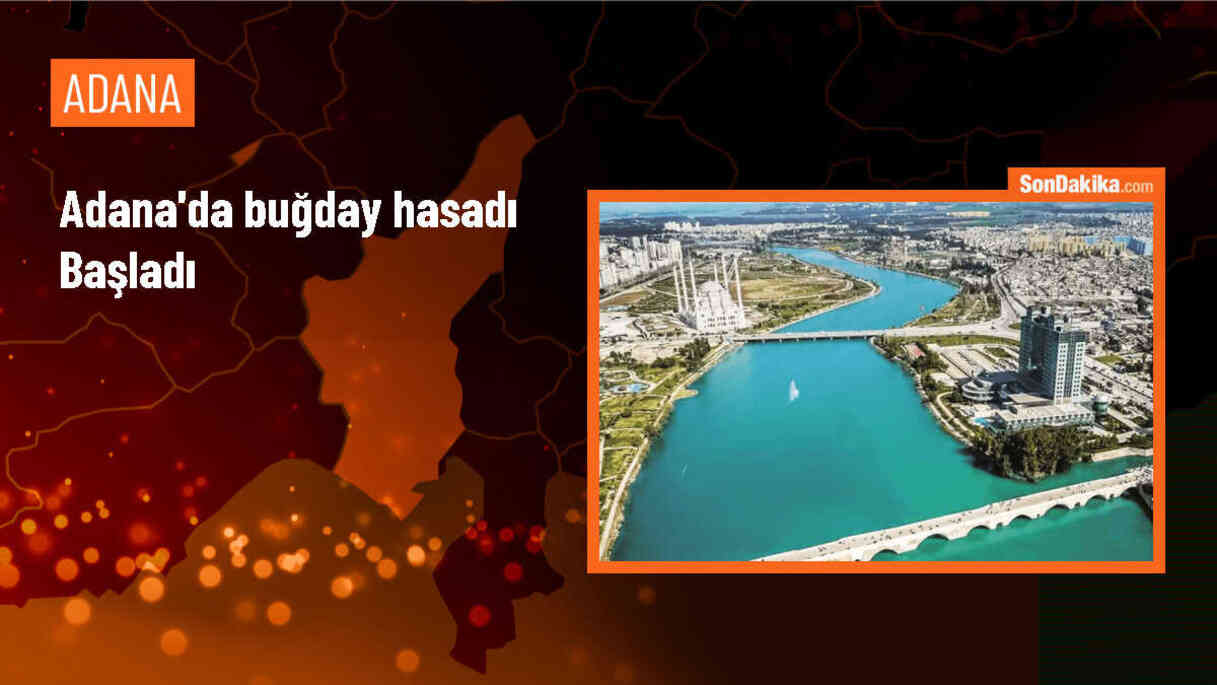 Adana\'da buğday hasadı başladı