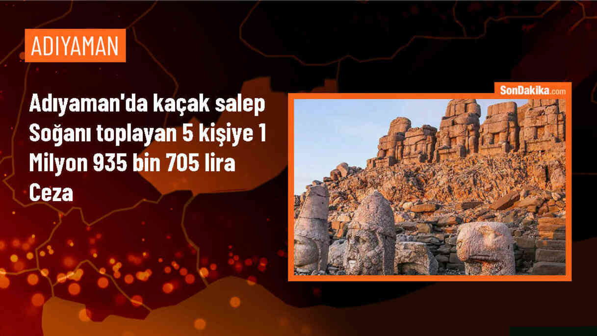 Adıyaman\'da Koruma Altındaki Salep Soğanlarını Kaçak Toplayan 5 Kişiye 1 Milyon 935 Bin 705 Lira Para Cezası