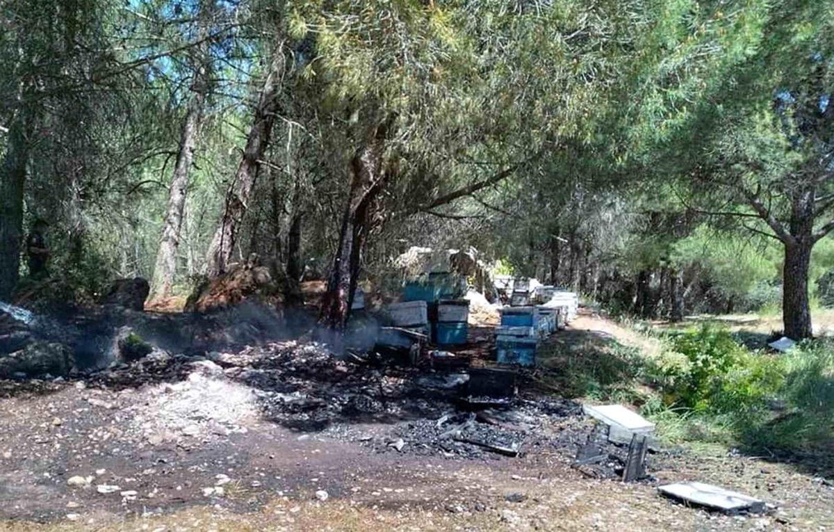 Muğla\'da Ormanlık Alanda Yangın: Arı Kovanları Kullanılamaz Hale Geldi