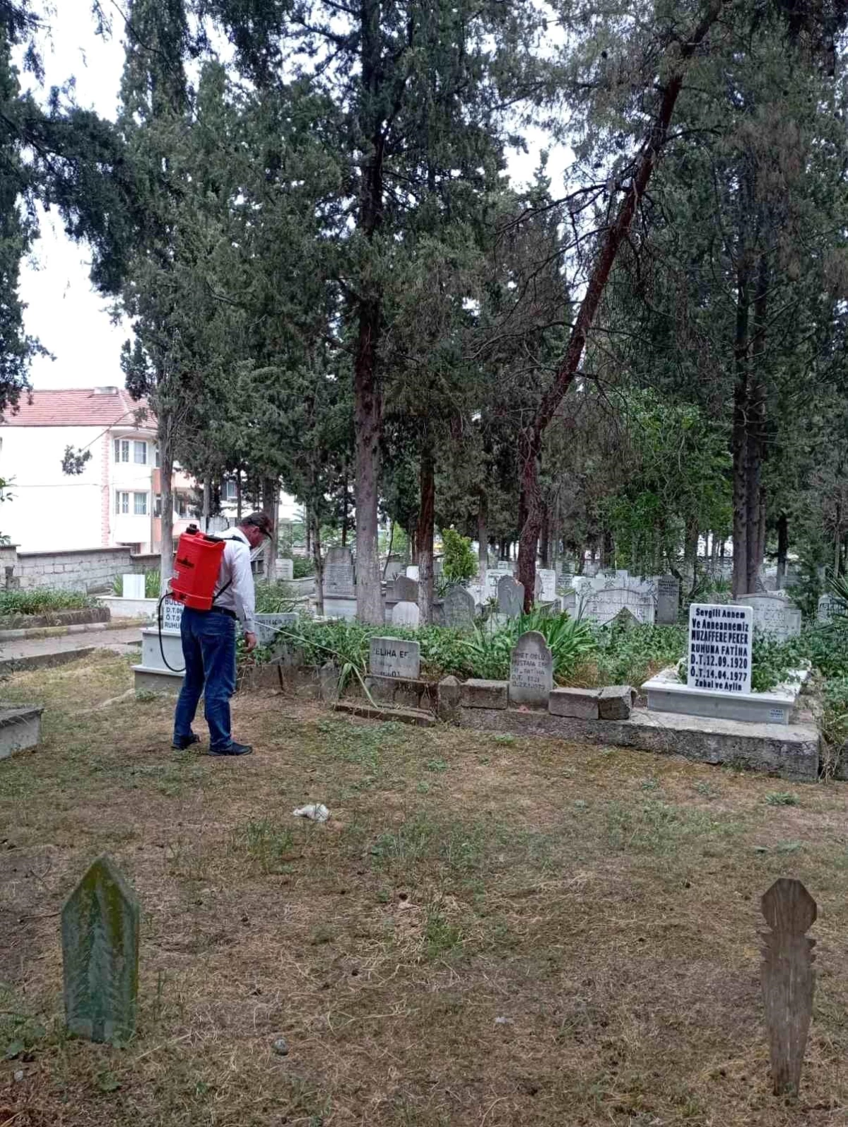 Osmaneli\'de Mezarlık Temizliği ve Bakım Çalışmaları Başladı