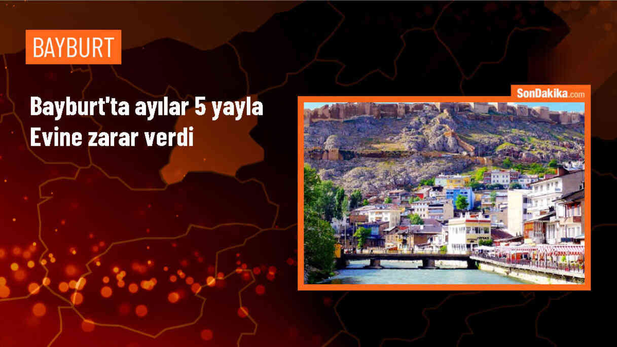 Bayburt\'ta yiyecek arayan ayılar, 5 yayla evine zarar verdi