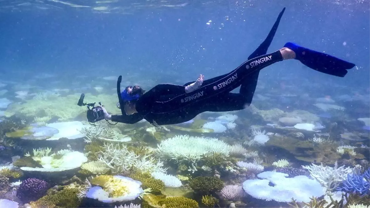 BBC analizi: Okyanus sıcaklıkları geçen yıl boyunca her gün yeni bir rekor kırdı