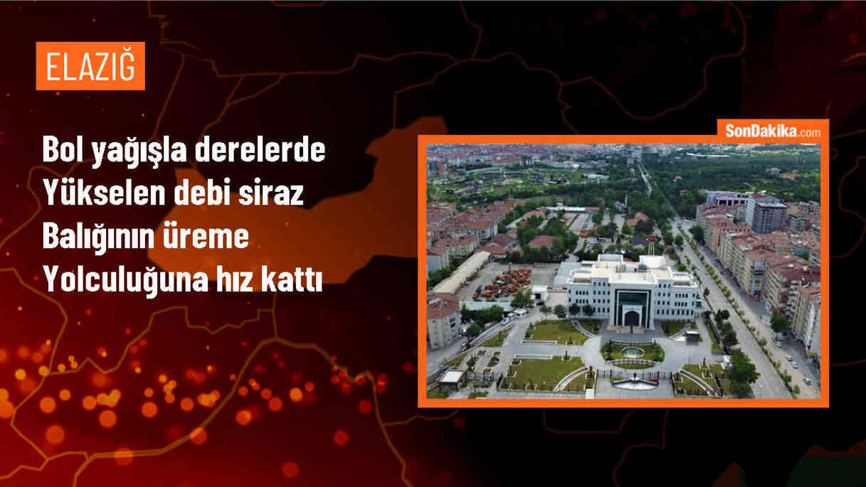 Hazar Gölü\'ndeki Siraz Balıklarının Üreme Göçü