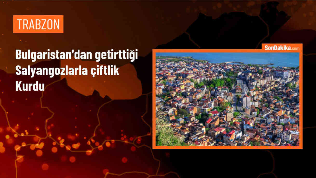 Trabzon\'da Salyangoz Çiftliği Kuruldu
