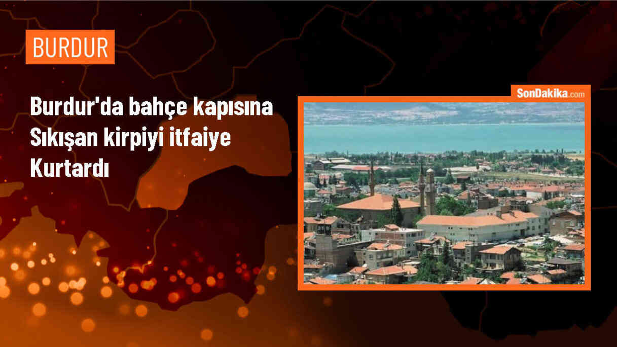 Burdur\'da Sıkışan Kirpi İtfaiye Tarafından Kurtarıldı