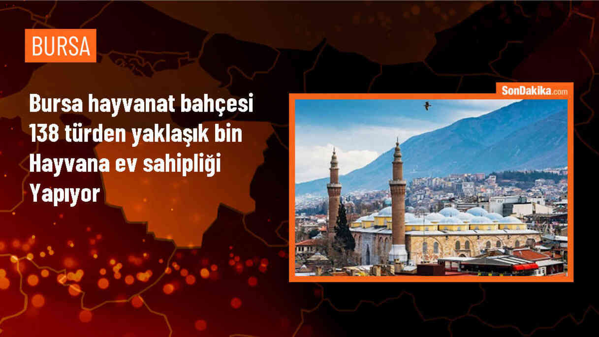 Bursa Hayvanat Bahçesi\'nde 138 türden bin hayvana barınak sağlanıyor