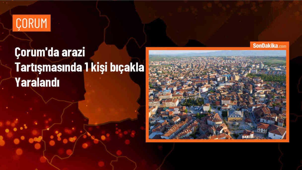Çorum\'da arazi anlaşmazlığı nedeniyle çıkan kavgada 1 kişi bıçakla yaralandı