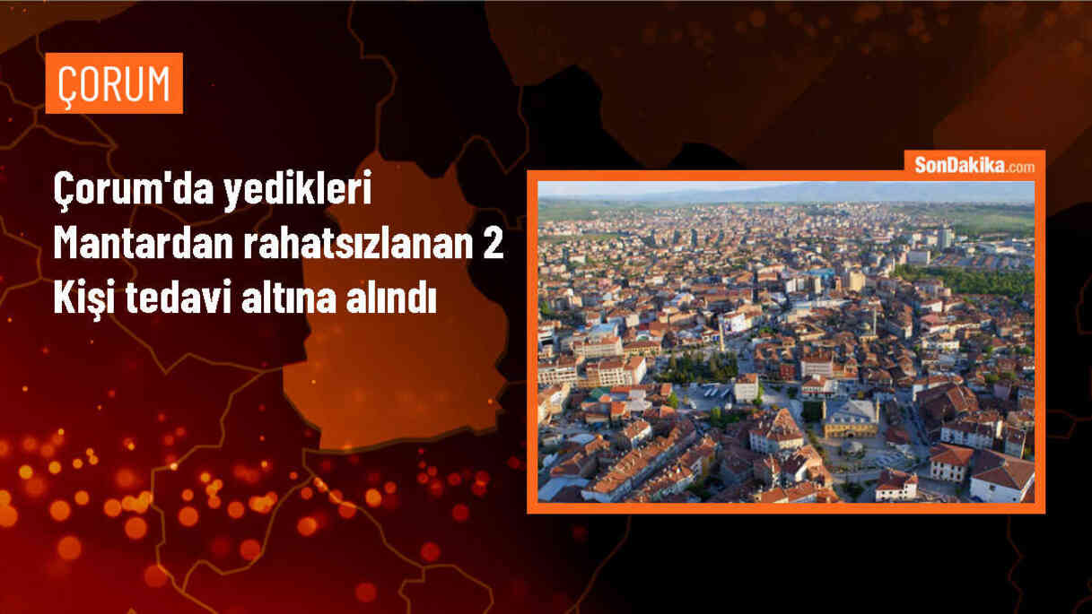 Çorum\'da Mantar Zehirlenmesi: 2 Kişi Hastanede Tedavi Altına Alındı