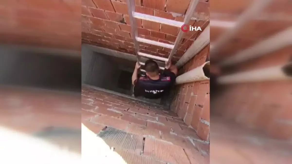 Havalandırmada mahsur kalan yavru güvercinler kurtarıldı