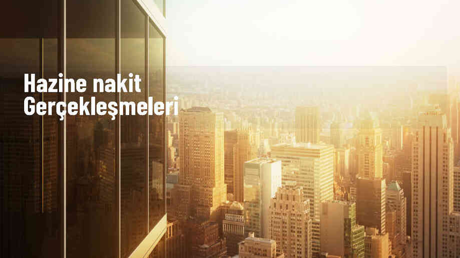 Hazine Nakit Dengesi Geçen Ay 236 Milyar 979 Milyon Lira Açık Verdi