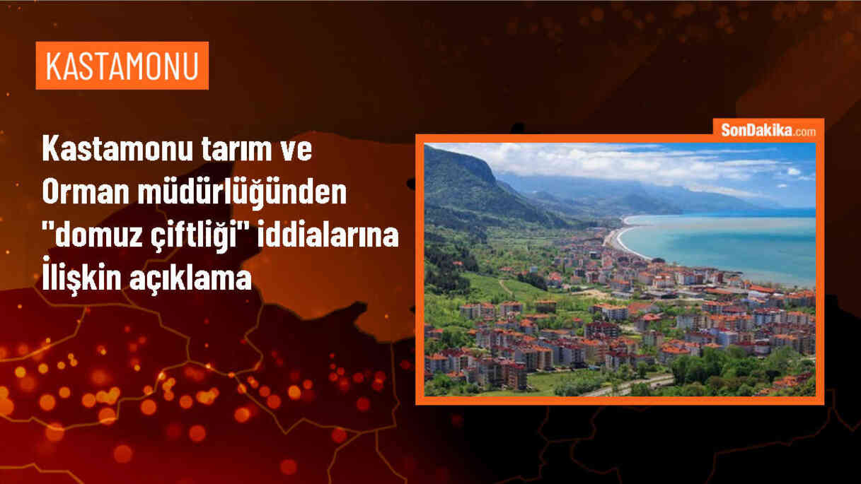 Kastamonu Tarım ve Orman Müdürlüğü: Lisanslı domuz çiftliği haberleri asılsız