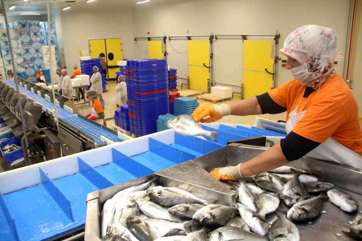 Ege Bölgesi, Türkiye ihracatına 14 milyar 284 milyon dolarlık katkı sağladı