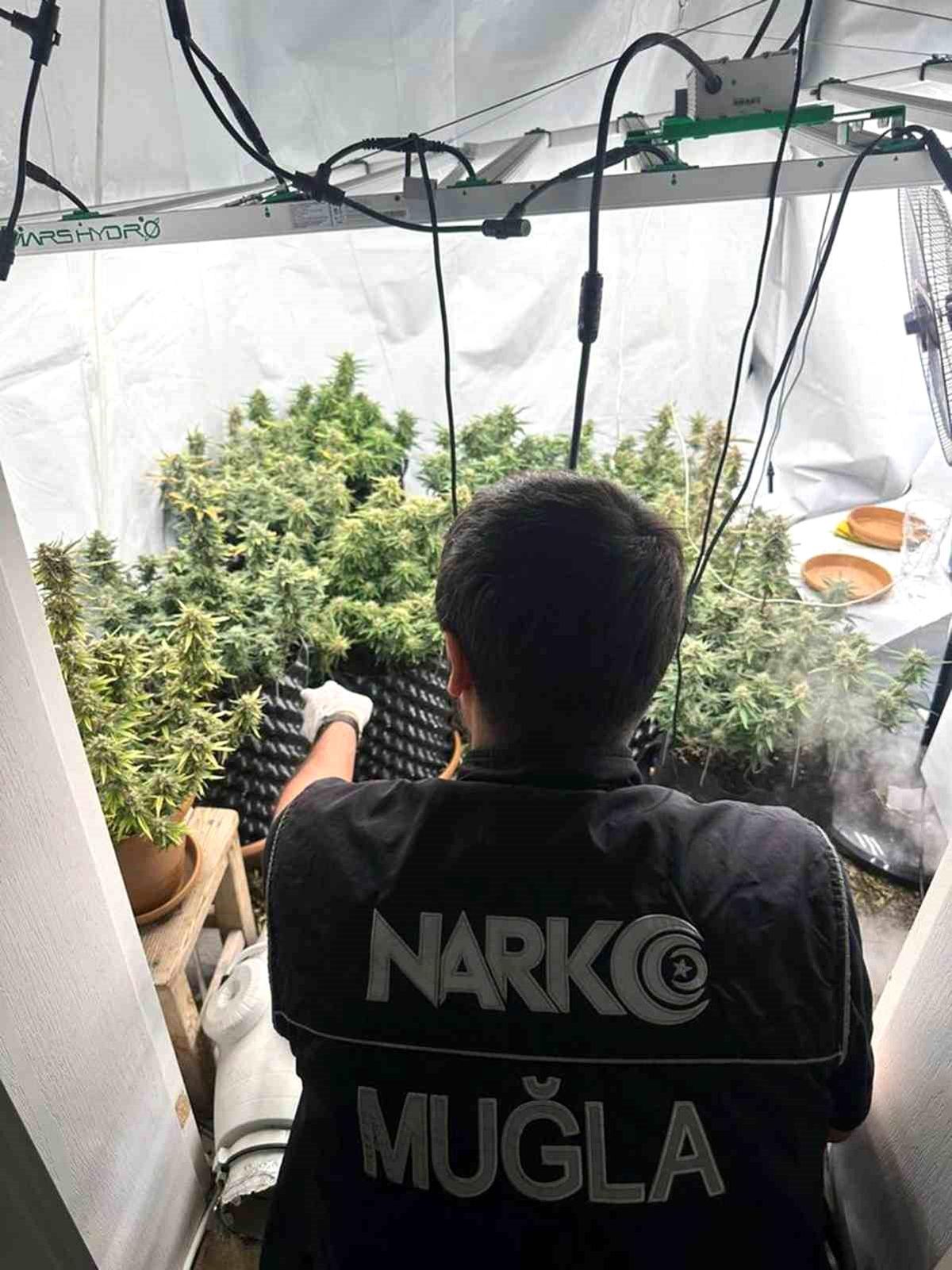 Muğla\'da Uyuşturucu İmalatı Yapan Eve Operasyon: Esrar ve Kenevir Ele Geçirildi