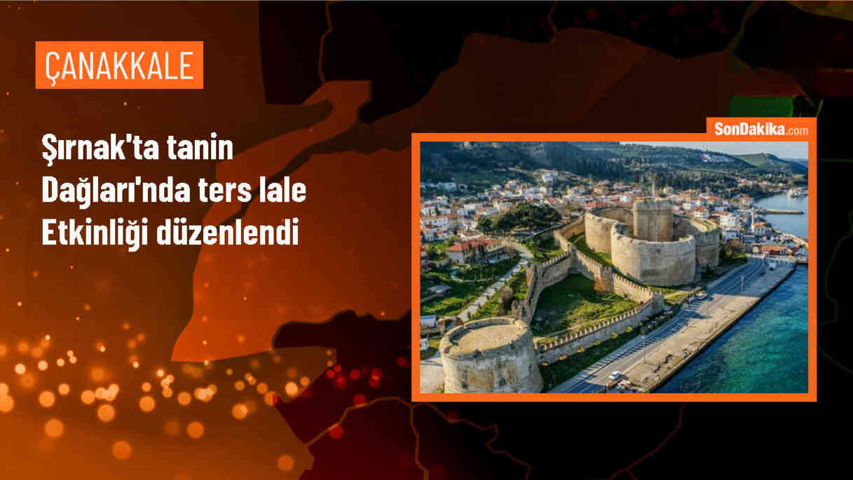 Şırnak\'ın Uludere ilçesinde ters lale etkinliği düzenlendi