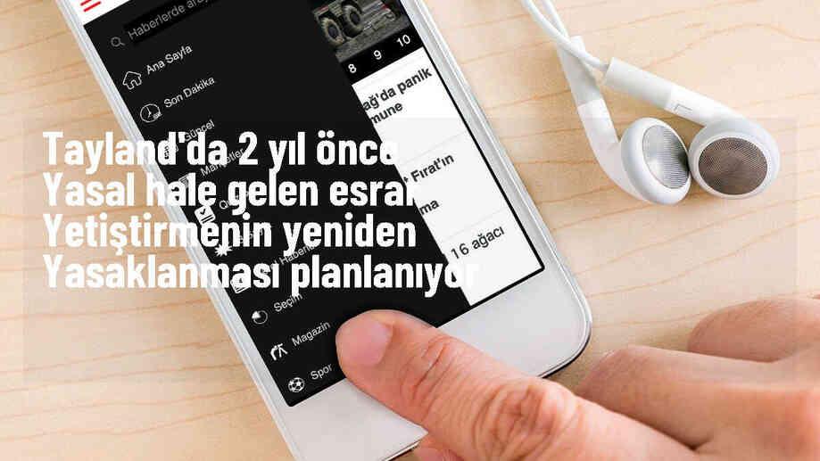 Tayland Başbakanı, esrar yetiştirme ve bulundurmayı yeniden yasaklamak istiyor