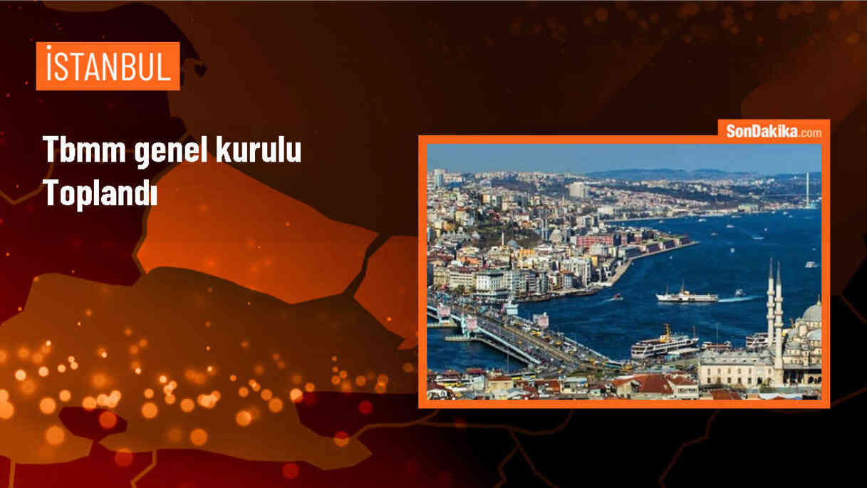 TBMM Genel Kurulu\'nda İsrail aleyhine açılan soykırım davasına Türkiye müdahil olacak