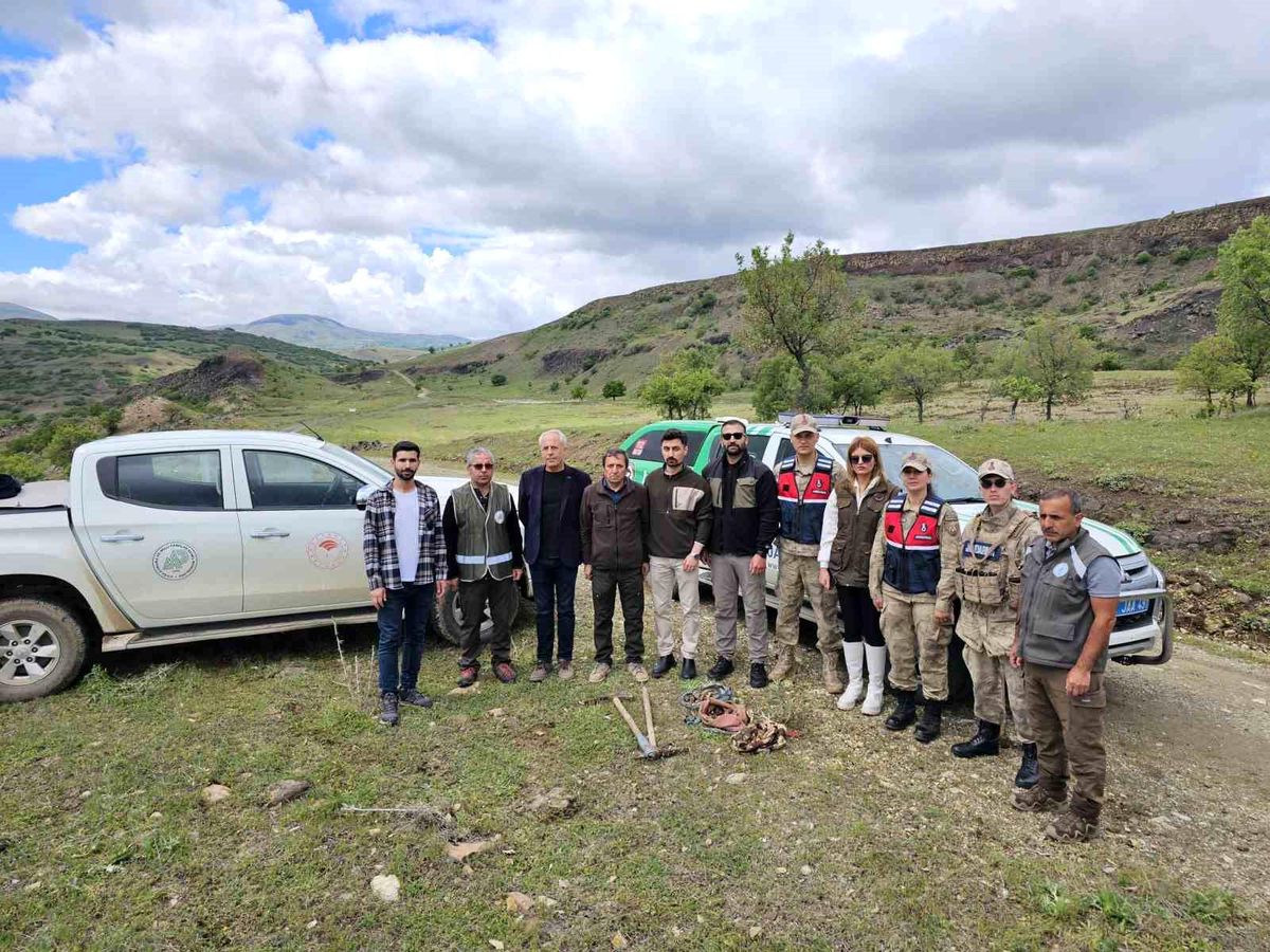 Tunceli\'de Yasak Olan Salep Toplayanlara Yüksek Cezalar
